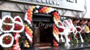 Açılış Organizasyonu - Dolunay Organizasyon